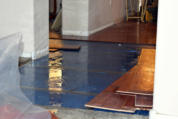 Professional Structural Drying technician working in Hertel, WI